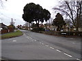 TM4977 : B1126 Wangford Road, Reydon by Geographer