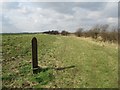 SE8522 : Marker  post  flood  bank  and  Nature  Reserve by Martin Dawes