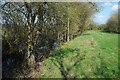 SO7957 : Moated site near Broadheath by Philip Halling