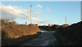  : Lane past Tregaverne by Derek Harper