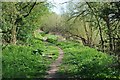 SO8452 : Footpath beside the River Severn by Philip Halling