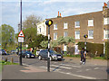 TQ3976 : Zebra Crossing, Montpelier Row, Blackheath  by Stephen Craven