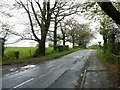 SJ9271 : Bullock's Lane, Sutton by Alan Murray-Rust