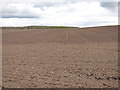 SE3042 : Tilled field near Owlet Hall by Stephen Craven