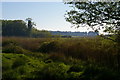 TM4665 : Low-lying pasture south of Minsmere nature reserve by Christopher Hilton