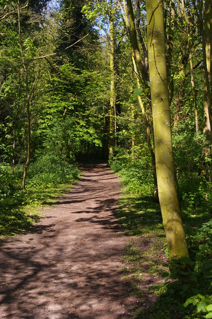 Path into woods west of Sizewell