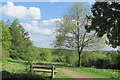 SP8808 : Planned view from the New Cafe in Wendover Woods by Chris Reynolds