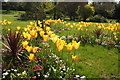 SX9265 : Tulips, Tessier Gardens by Derek Harper