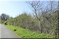 SX9787 : Fence by cycle track between Topsham and Exton by David Smith