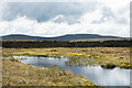 NY7436 : Boggy pool on Round Hill by Trevor Littlewood