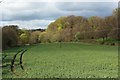 NZ1164 : Arable field beside the River Tyne by Graham Robson