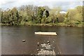 NZ0964 : Outflow pipe into the River Tyne by Graham Robson