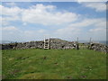  : Ladder stile and gate on Middlesmoor Pasture by John Slater