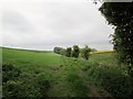 TA0677 : Yorkshire  Wolds  Way  in  Stocking  Dale by Martin Dawes