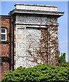 SJ9295 : Ivy on the old bank by Gerald England