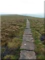 SK1590 : Paved path across  Rowlee Pasture by Graham Hogg