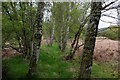 NH7697 : On the Disused Dornoch Railway near the Mound by Chris Heaton