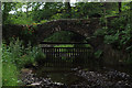 SD5645 : Bleasdale Packhorse Bridge by Chris Heaton