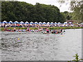 TL1798 : Peterborough Dragon Boat Festival, June 2018 by Paul Bryan