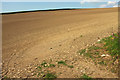 SS4014 : Tilled field northeast of Bulkworthy by Derek Harper