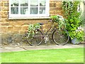 SP3944 : The bicycle as planter by Oliver Dixon