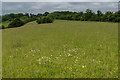 TQ0148 : Pewley Down by Ian Capper