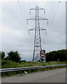 ST4687 : Electricity pylon south of the M4 motorway near Rogiet, Monmouthshire by Jaggery