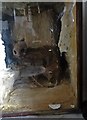 SK1875 : Mummified cat in a glass case by Neil Theasby