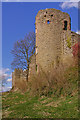 SO5074 : Ludlow Castle by Ian Capper