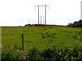 H5672 : Powerlines, Mullaghslin Glebe by Kenneth  Allen