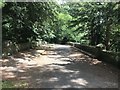 SJ8641 : Bridge over the Trent at Trentham Gardens by Jonathan Hutchins