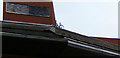 SE3321 : Bicycle on the roof of Lightwaves Leisure Centre by Geographer