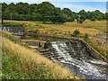 SE2912 : Weir, Lower Lake, Bretton Country Park by Ian Capper