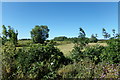 SK9514 : Farmland off the A1 Great North Road by Geographer