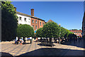 SE3320 : Clipped Holm Oaks in pedestrianised Kirkgate, Wakefield by Robin Stott