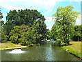 TQ2782 : Fountains in the lake, Regent's Park by Malc McDonald