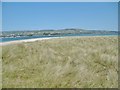 C6638 : Magilligan, dunes by Mike Faherty