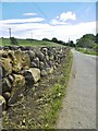 D2718 : Carnlough, wall by Mike Faherty