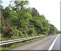 SS8782 : Vegetation by M4 where it crosses the road south of Ballarat by David Smith