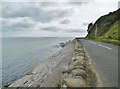 D2625 : Glenariff, coastline by Mike Faherty