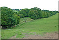 SP5465 : Pasture south-east of Braunston in Northamptonshire by Roger  D Kidd