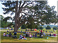 SO5063 : Sitting in the shade of a tree, Berrington Hall. Herefordshire by Robin Drayton