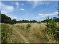 TQ0993 : The London LOOP crossing Sandy Lodge Golf Course by Marathon