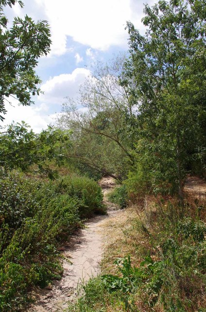 Dried Up Colne