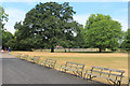 TQ3373 : Seating in Dulwich Park by Des Blenkinsopp