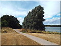 SP7669 : Path at Pitsford Water by Malc McDonald