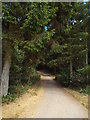 SP7869 : Path near Pitsford Water, Northamptonshire by Malc McDonald