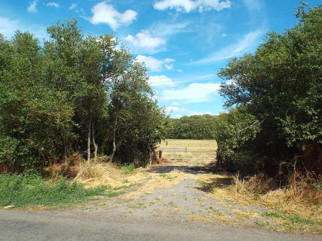 Field gate near Mawsley Village