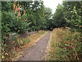 SP7577 : Brampton Valley Way near Maidwell by Malc McDonald