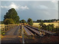 SP7367 : Brampton Valley Way near Chapel Brampton by Malc McDonald